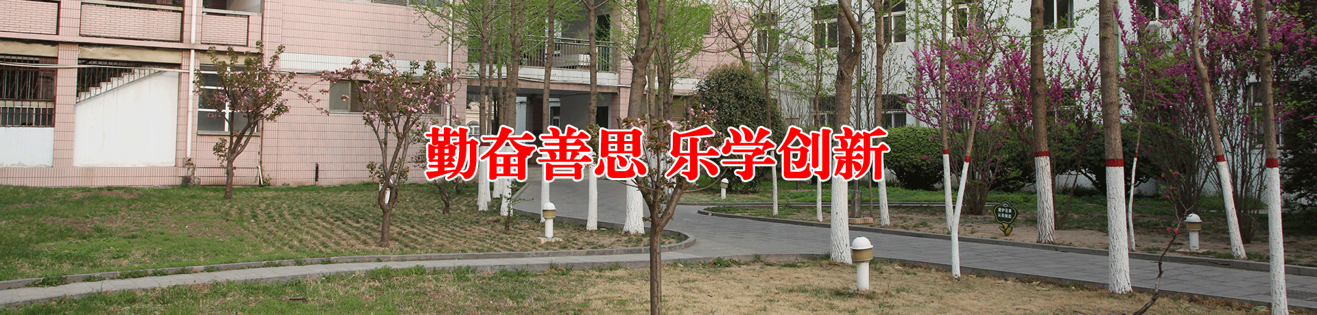 新乡市第十中学